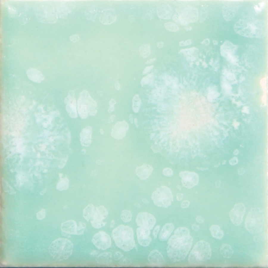 Resim CG-997 SEAFOAM 118ML