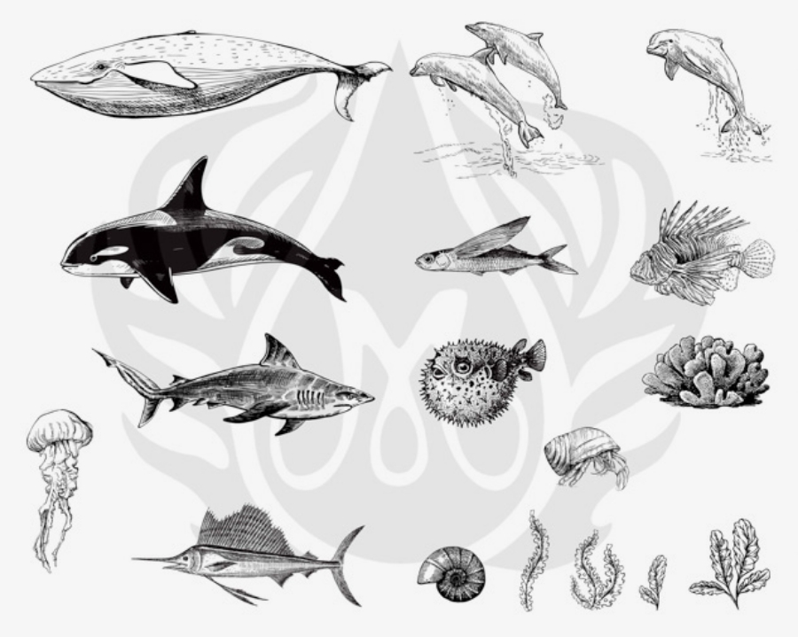 Picture of DESIGNER SILKSCREEN SEA LIFE 2 DSS-0131