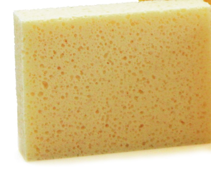 Picture of Big Sponge